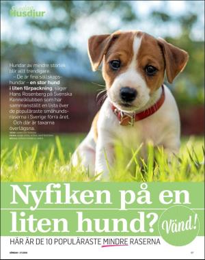 sondag-20190428_000_00_00_067.pdf