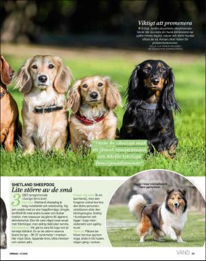 sondag-20190428_000_00_00_069.pdf