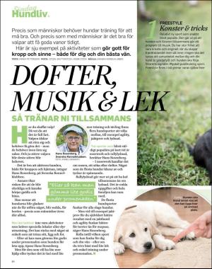 sondag-20190526_000_00_00_064.pdf