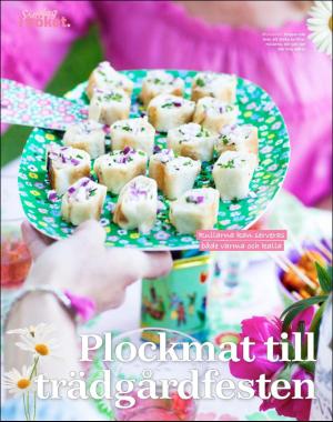 sondag-20190609_000_00_00_070.pdf