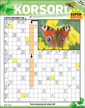 sondag-20190630_000_00_00_041.pdf