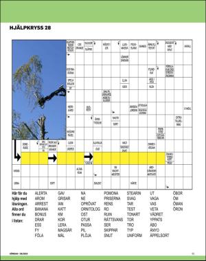 sondag-20190714_000_00_00_061.pdf