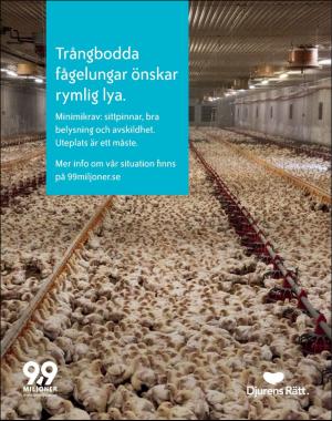 sondag-20190901_000_00_00_027.pdf