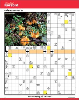 sondag-20190901_000_00_00_044.pdf