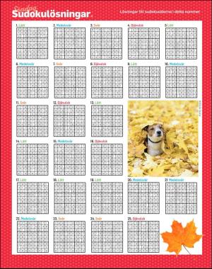 sondag-20191013_000_00_00_062.pdf