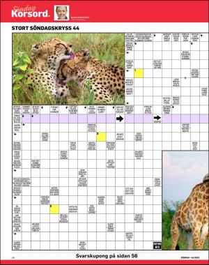 sondag-20191103_000_00_00_048.pdf