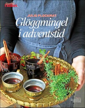 sondag-20191124_000_00_00_070.pdf