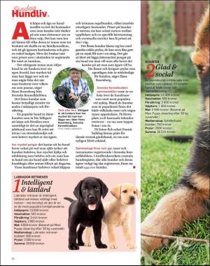 sondag-20191208_000_00_00_032.pdf