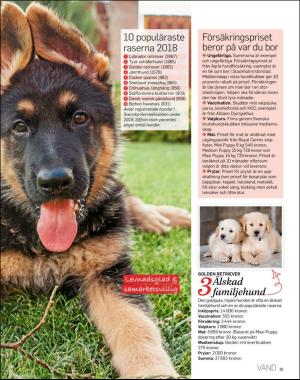 sondag-20191208_000_00_00_033.pdf