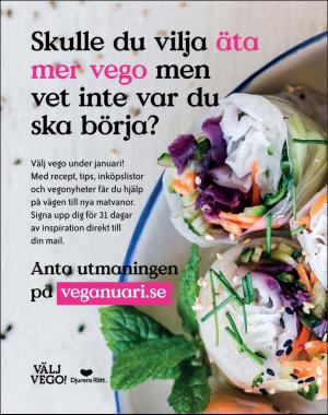 sondag-20191229_000_00_00_063.pdf