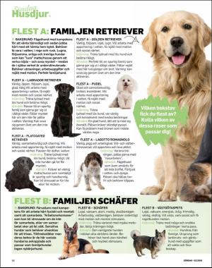 sondag-20191229_000_00_00_068.pdf