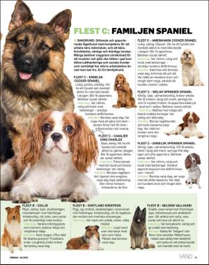 sondag-20191229_000_00_00_069.pdf