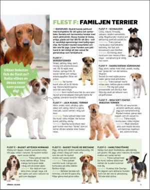 sondag-20191229_000_00_00_071.pdf