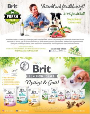 sondag-20191229_000_00_00_072.pdf