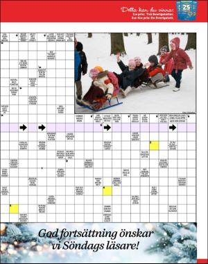 sondag-20200105_000_00_00_049.pdf