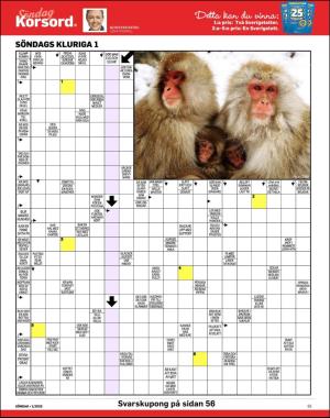 sondag-20200105_000_00_00_055.pdf