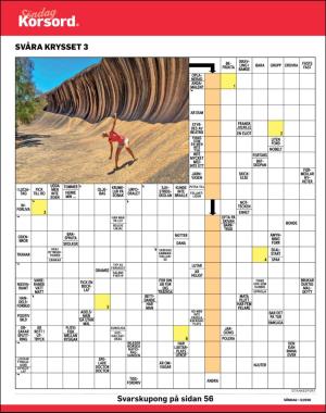 sondag-20200119_000_00_00_038.pdf