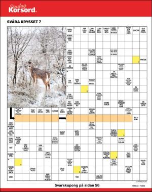 sondag-20200216_000_00_00_038.pdf