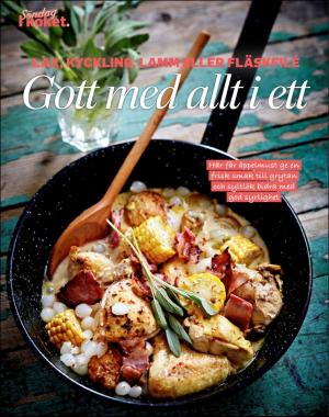 sondag-20200216_000_00_00_074.pdf