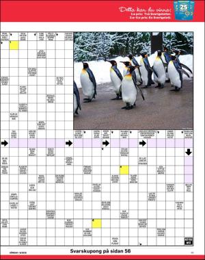 sondag-20200301_000_00_00_049.pdf