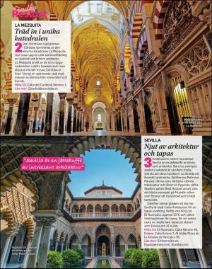 sondag-20200301_000_00_00_082.pdf