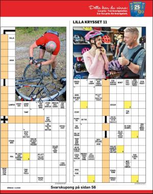 sondag-20200315_000_00_00_041.pdf