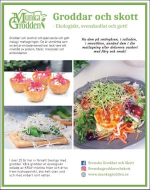 sondag-20200412_000_00_00_070.pdf