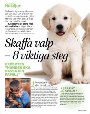 sondag-20200419_000_00_00_028.pdf