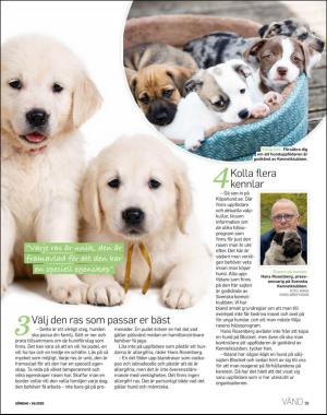 sondag-20200419_000_00_00_029.pdf