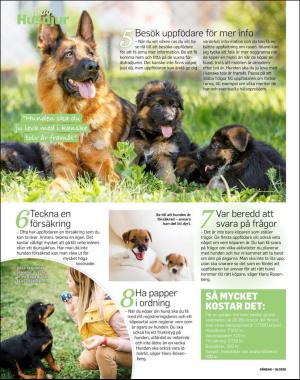 sondag-20200419_000_00_00_030.pdf