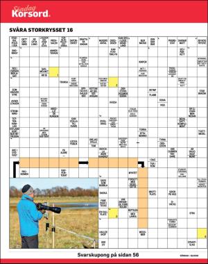 sondag-20200419_000_00_00_040.pdf