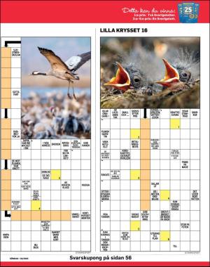 sondag-20200419_000_00_00_041.pdf