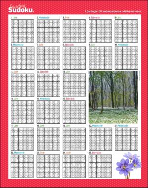 sondag-20200503_000_00_00_062.pdf