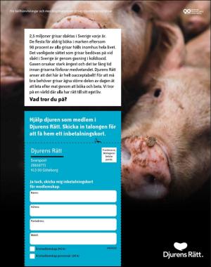 sondag-20200517_000_00_00_009.pdf