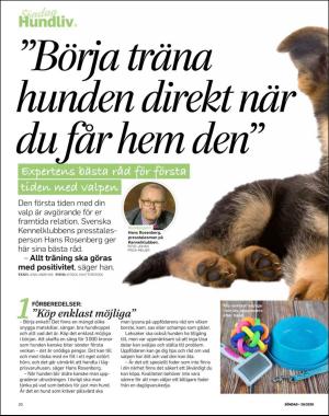 sondag-20200517_000_00_00_030.pdf