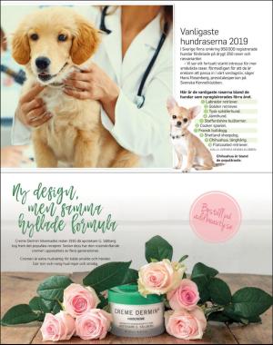 sondag-20200517_000_00_00_033.pdf