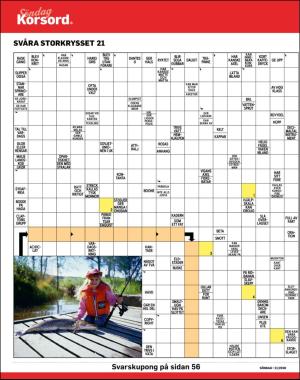 sondag-20200524_000_00_00_040.pdf