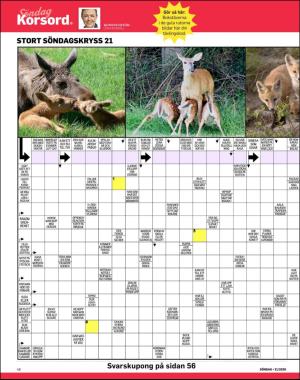 sondag-20200524_000_00_00_048.pdf