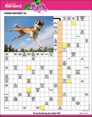 sondag-20200531_000_00_00_040.pdf