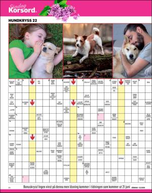 sondag-20200531_000_00_00_064.pdf