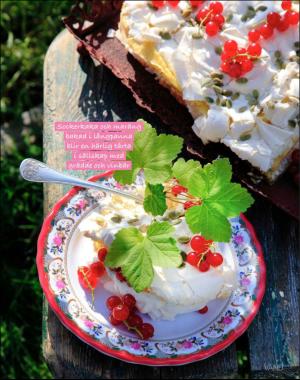 sondag-20200531_000_00_00_081.pdf