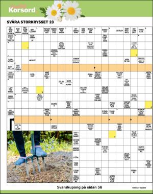 sondag-20200607_000_00_00_040.pdf