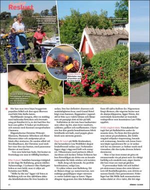 sondag-20200607_000_00_00_082.pdf