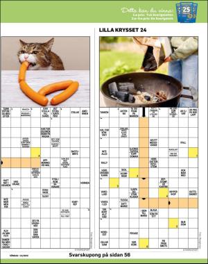 sondag-20200614_000_00_00_041.pdf