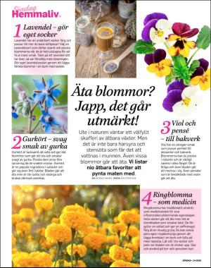 sondag-20200614_000_00_00_078.pdf