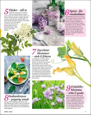 sondag-20200614_000_00_00_079.pdf