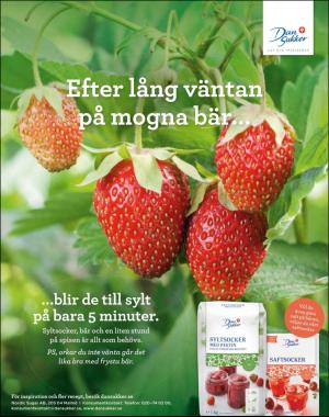 sondag-20200628_000_00_00_083.pdf