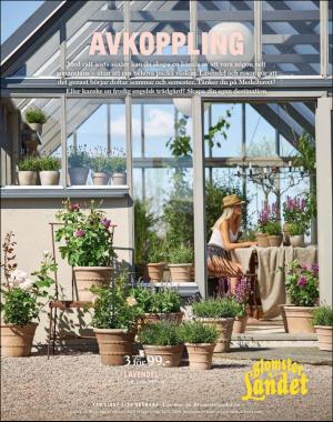 sondag-20200705_000_00_00_005.pdf