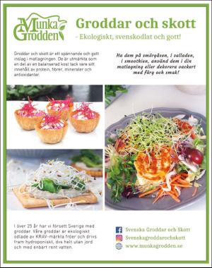 sondag-20200719_000_00_00_089.pdf