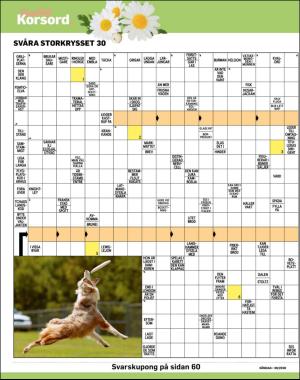 sondag-20200726_000_00_00_044.pdf